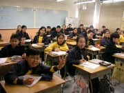 Thumbs/tn_071.jpg