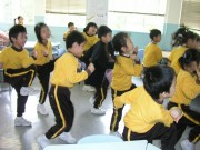 Thumbs/tn_139.jpg