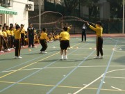 Thumbs/tn_193.jpg