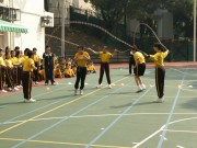 Thumbs/tn_194.jpg