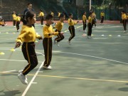Thumbs/tn_215.jpg