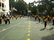 Thumbs/tn_223.jpg