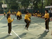 Thumbs/tn_224.jpg