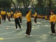 Thumbs/tn_226.jpg