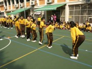 Thumbs/tn_237.jpg